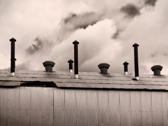 Gleaming Shell, Coal Heart, Nordegg